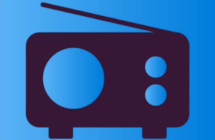 Radio VIP Diaspora Live